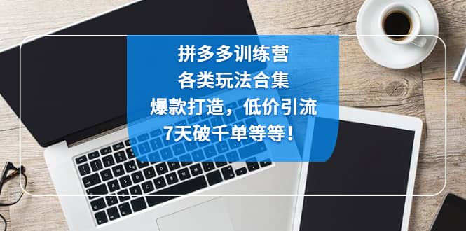 拼多多训练营：各玩法合集，爆款打造，低价引流，7天破千单等等-