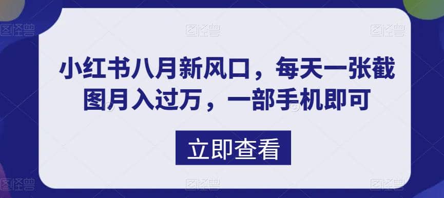 八月新风口，小红书虚拟项目一天收入1000+，实战揭秘-