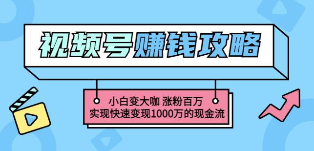 玩转微信视频号赚钱：小白变大咖涨粉百万实现快速变现1000万的现金流-