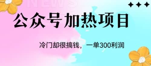 冷门公众号加热项目，一单利润300+-