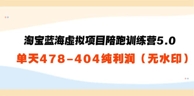 淘宝蓝海虚拟项目陪跑训练营5.0：单天478纯利润（无水印）-