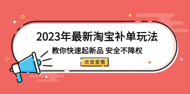 2023年最新淘宝补单玩法，教你快速起·新品，安全·不降权（18课时）-