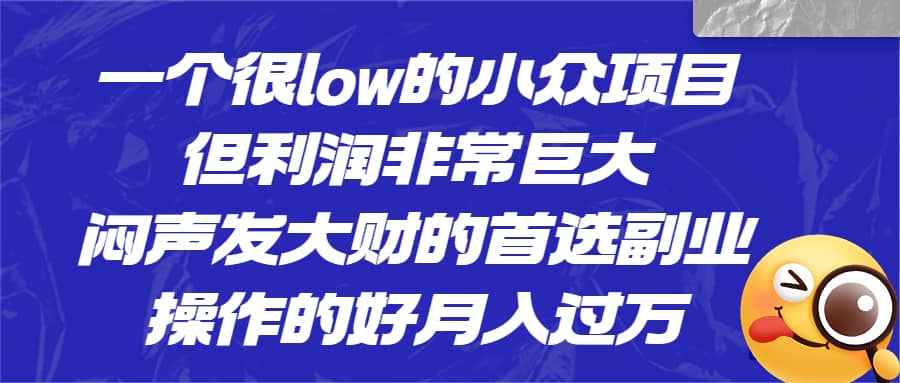 一个很low的小众项目，但利润非常巨大，闷声发大财的首选副业，月入过万-