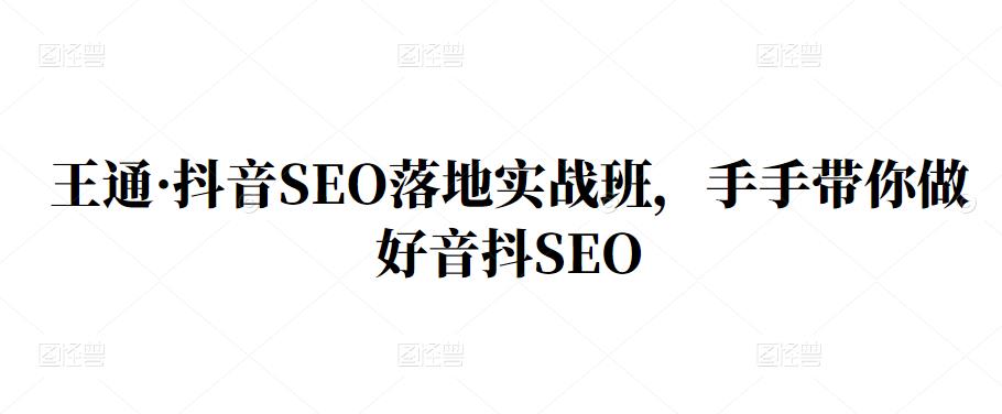 王通·抖音SEO落地实战班，手‬手带你做好音抖‬‬SEO-