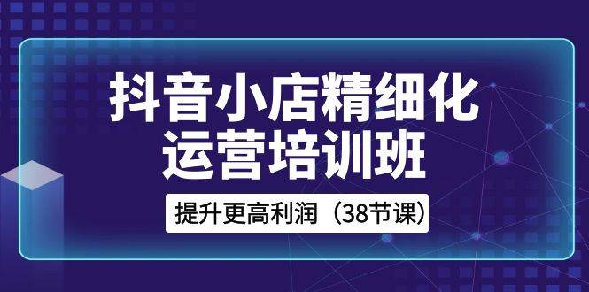 抖音小店-精细化运营培训班，提升更高利润（38节课）-