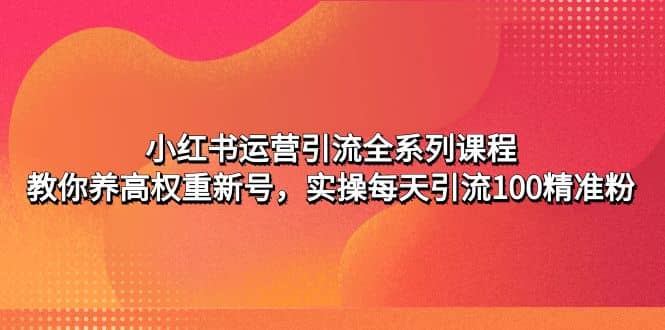 小红书运营引流全系列课程：教你养高权重新号-