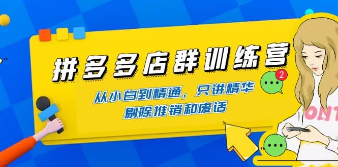 拼多多店群训练营：从小白到精通，只讲精华，剔除推销和废话-