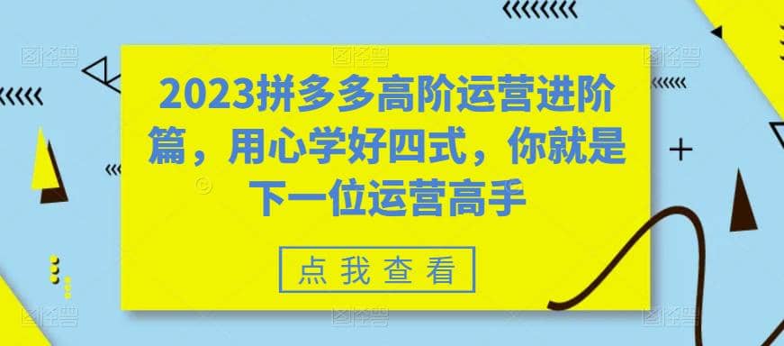 2023拼多多高阶运营进阶篇，用心学好四式，你就是下一位运营高手-