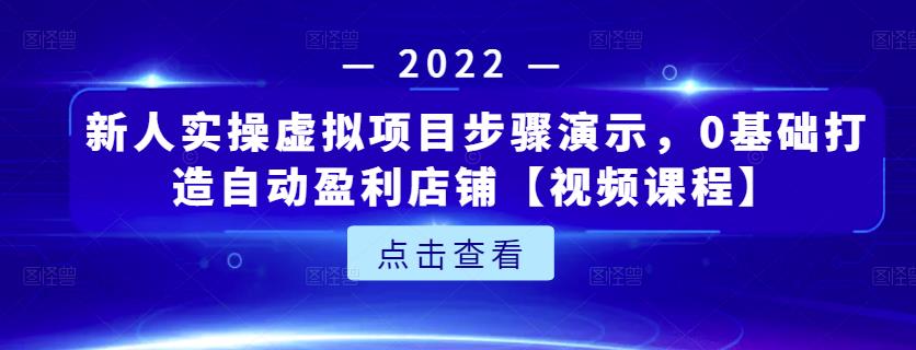 新人实操虚拟项目步骤演示，0基础打造自动盈利店铺【视频课程】-