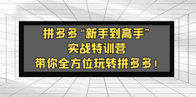 拼多多“新手到高手”实战特训营：带你全方位玩转拼多多-