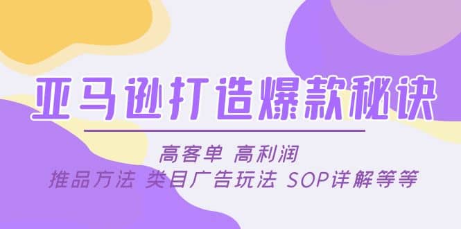 亚马逊打造爆款秘诀：高客单 高利润 推品方法 类目广告玩法 SOP详解等等-