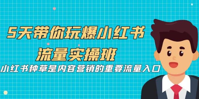 5天带你玩爆小红书流量实操班，小红书种草是内容营销的重要流量入口-