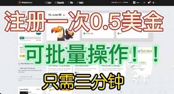 国外项目注册一次0.5美金 只需三分钟无脑操作 可批量放大 小白工作室福利-