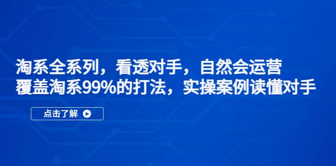 淘系全系列，看透对手，自然会运营，覆盖淘系99%·打法，实操案例读懂对手-