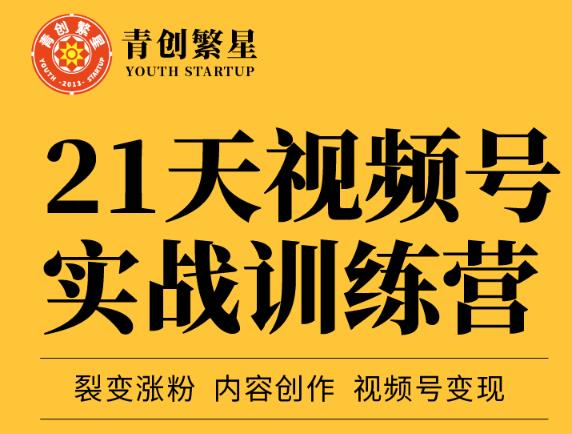 张萌21天视频号实战训练营，裂变涨粉、内容创作、视频号变现 价值298元-