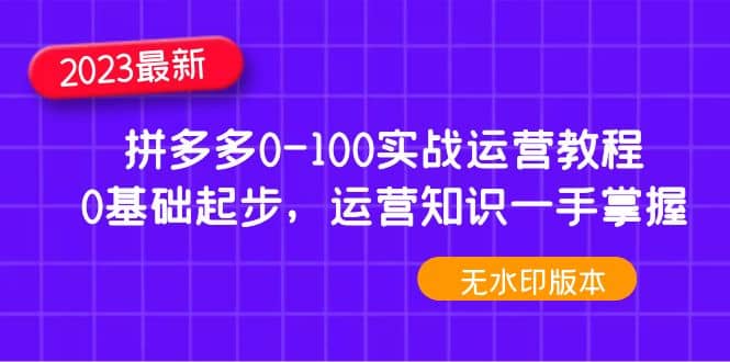 2023拼多多0-100实战运营教程，0基础起步，运营知识一手掌握（无水印）-