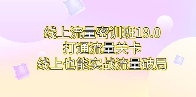 线上流量密训班19.0，打通流量关卡，线上也能实战流量破局-