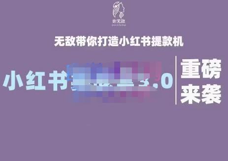 谢无敌·小红书实战营3.0，无敌带你打造小红书提款机 价值7999元-