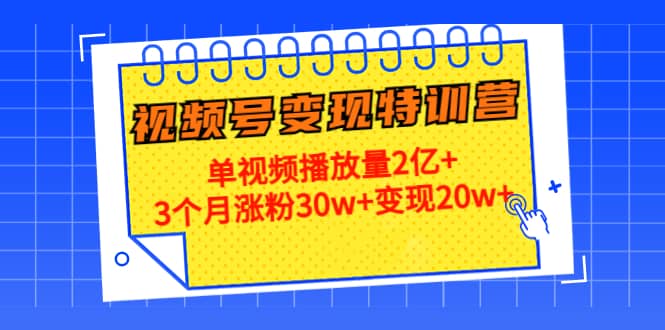 20天视频号变现特训营：单视频播放量2亿+-