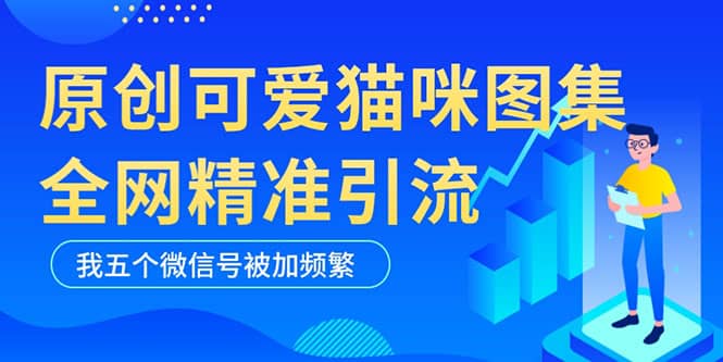 黑科技纯原创可爱猫咪图片，全网精准引流，实操5个VX号被加频繁-