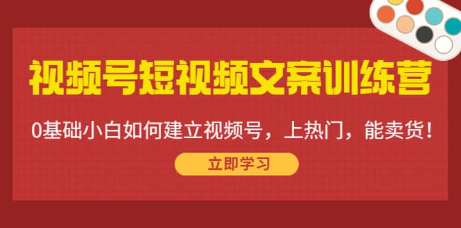 视频号短视频文案训练营：0基础小白如何建立视频号，上热门，能卖货！-