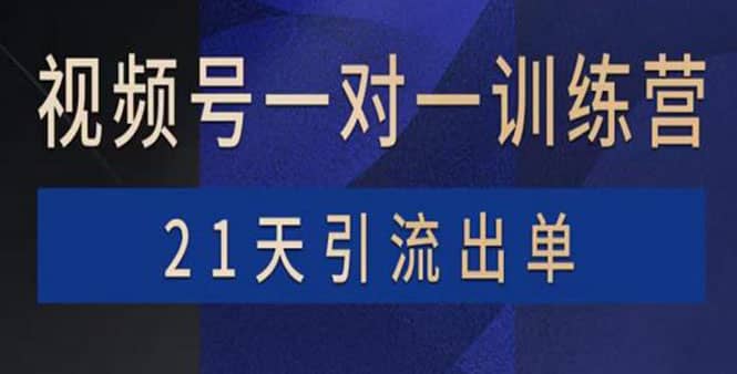 视频号训练营：带货，涨粉，直播，游戏，四大变现新方向，21天引流出单-