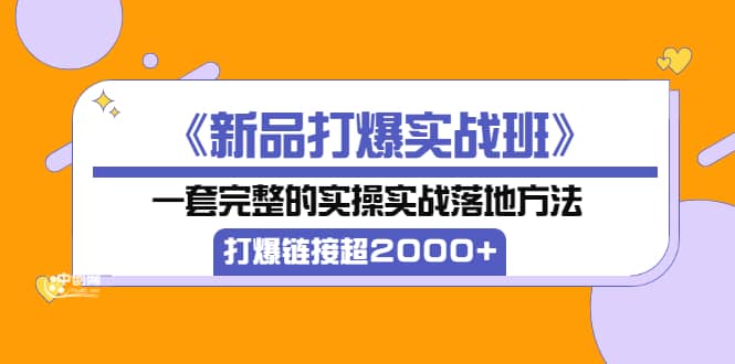 《新品打爆实战班》一套完整的实操实战落地方法，打爆链接超2000+（38节课)-