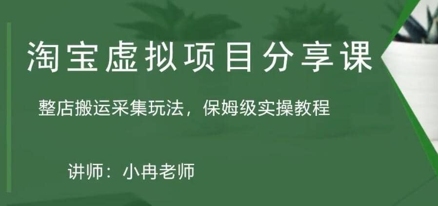 淘宝虚拟整店搬运采集玩法分享课：整店搬运采集玩法，保姆级实操教程-