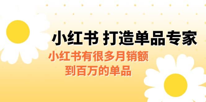 某公众号付费文章《小红书 打造单品专家》小红书有很多月销额到百万的单品-