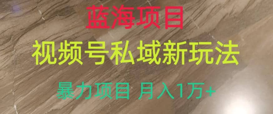 蓝海项目，视频号私域新玩法，暴力项目月入1万+【揭秘】-