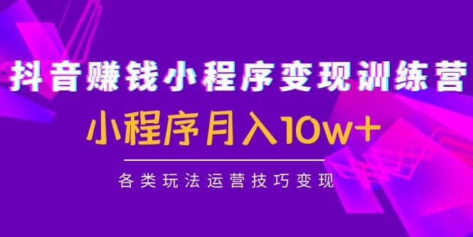 抖音小程序变现训练营：小程序各类玩法运营技巧变现-