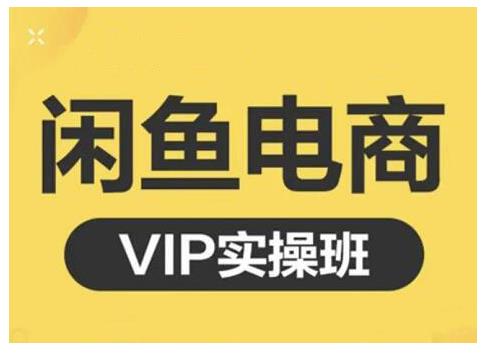 闲鱼电商零基础入门到进阶VIP实战课程，帮助你掌握闲鱼电商所需的各项技能-