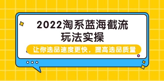 2022淘系蓝海截流玩法实操：让你选品速度更快，提高选品质量（价值599）-