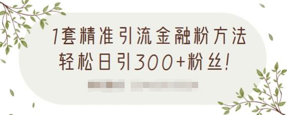 1套精准引流金融粉方法，轻松日引300+粉丝【视频课程】-