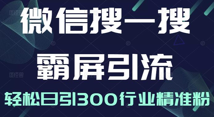 微信搜一搜霸屏引流课，打造被动精准引流系统，轻松日引300行业精准粉【无水印】-