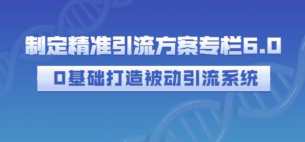 制定精准引流方案专栏6.0，0基础打造被动引流系统-