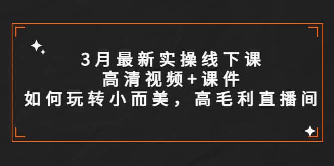 3月最新实操线下课高清视频+课件，如何玩转小而美，高毛利直播间-