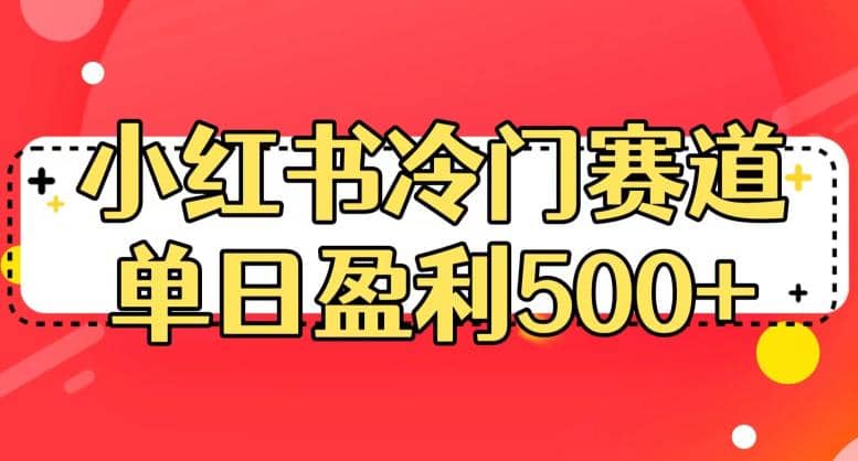 小红书冷门赛道，单日盈利500+【揭秘】-