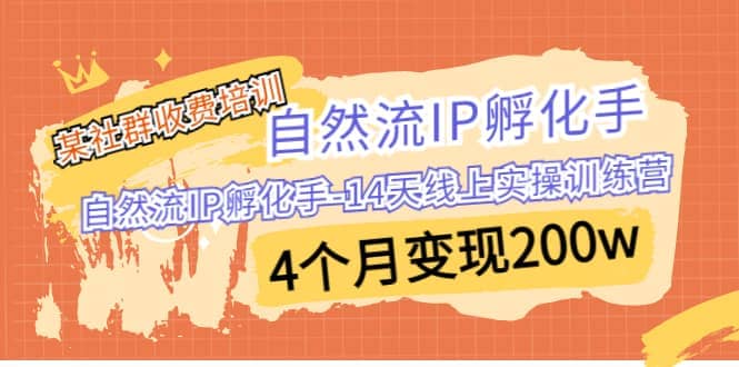 某社群收费培训：自然流IP 孵化手-14天线上实操训练营 4个月变现200w-