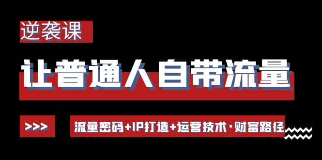 让普通人自带流量的逆袭课：流量密码+IP打造+运营技术·财富路径-