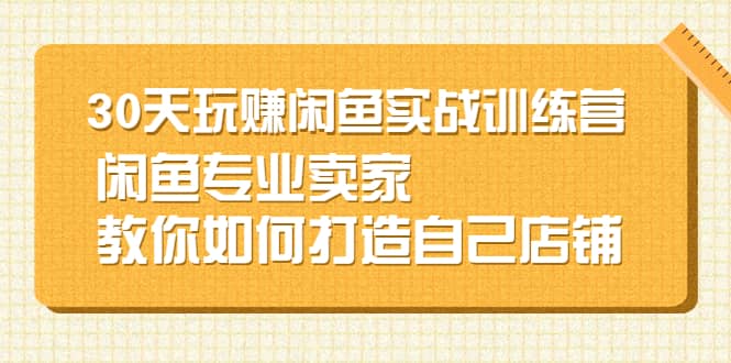 30天玩赚闲鱼实战训练营，闲鱼专业卖家教你如何打造自己店铺-