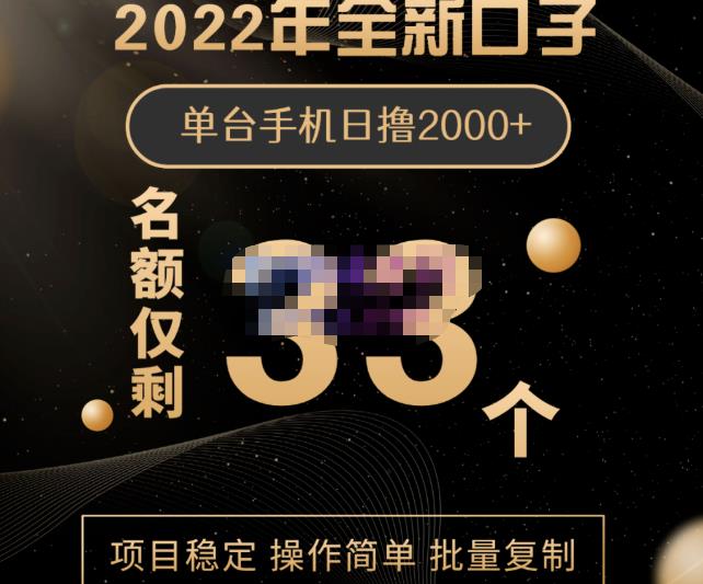 2022年全新口子，手机批量搬砖玩法，一部手机日撸2000+-