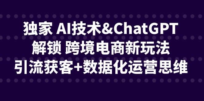 独家 AI技术ChatGPT解锁 跨境电商新玩法，引流获客+数据化运营思维-