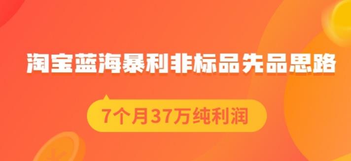 盗坤淘宝蓝海暴利非标品先品思路，7个月37万纯利润，压箱干货分享！【付费文章】-