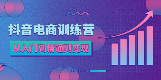 抖音电商训练营：从入门到精通，从账号定位到流量变现，抖店运营实操-