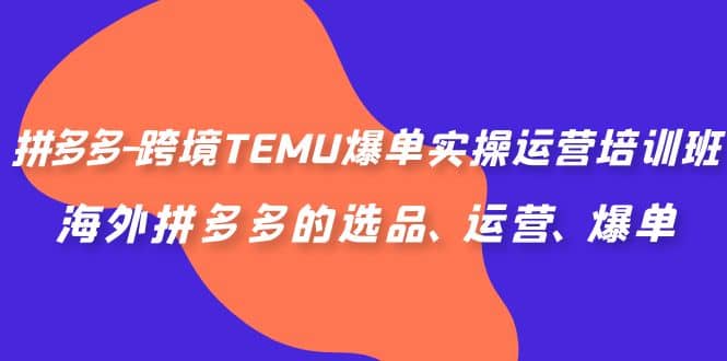 拼多多-跨境TEMU爆单实操运营培训班，海外拼多多的选品、运营、爆单-