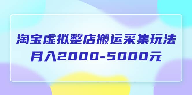 淘宝虚拟整店搬运采集玩法分享课：月入2000-5000元（5节课）-