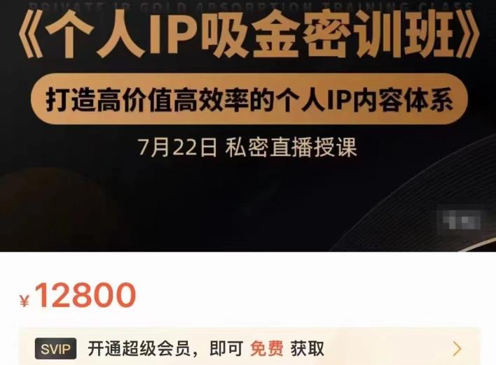 个人IP吸金密训班，打造高价值高效率的个人IP内容体系（价值12800元）-