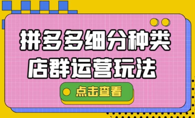 拼多多细分种类店群运营玩法3.0，11月最新玩法，小白也可以操作-