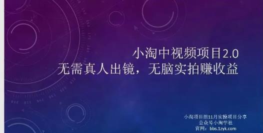 小淘项目组网赚永久会员，绝对是具有实操价值的，适合有项目做需要流程【持续更新】-